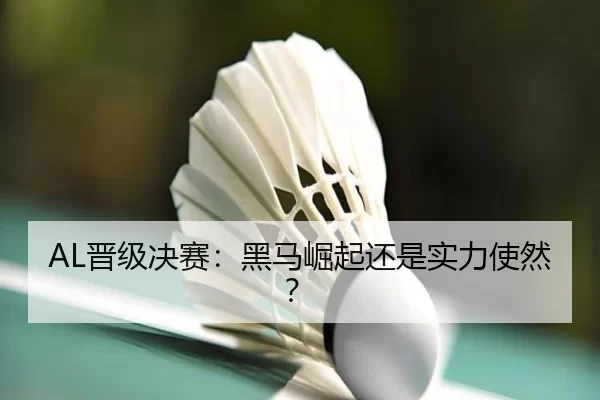 AL晋级决赛：黑马崛起还是实力使然？ - kaiyun